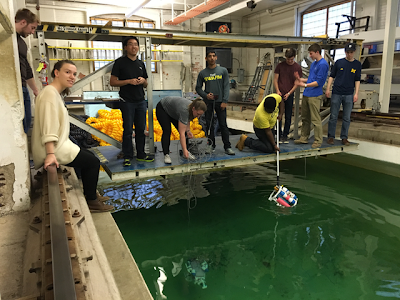 students testing in water